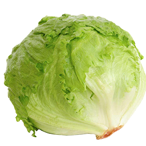 Cello Iceberg Lettuce (24ea)