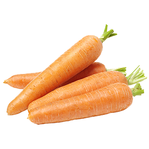 Jumbo Carrot (50lb)