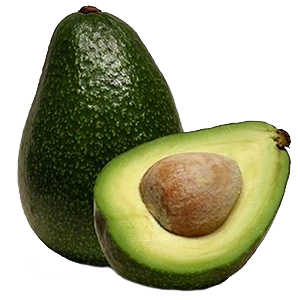 Avocado (24ct)