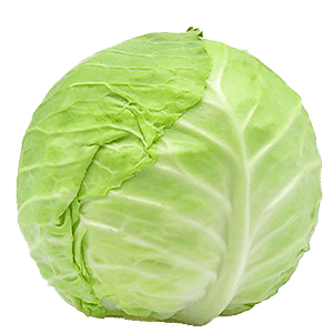 Green Cabbage (40lb)