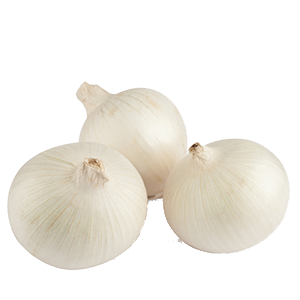 White Onion (24/2lb)