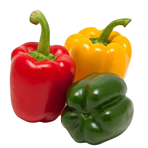 Tricolor Bell Pepper 8 / 3ct