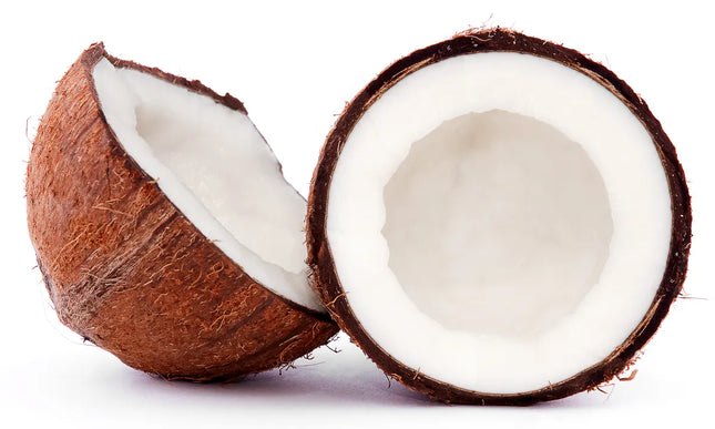 Coconut (40 ea)