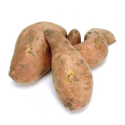 Canol Sweet Potato (48lb)