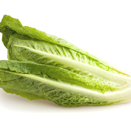 Liner Romaine Lettuce (24ea)