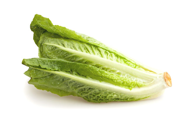 Liner Romaine Lettuce (24ea)