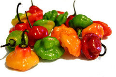 Sweet Pepper (Ají Dulce) (30/8oz)