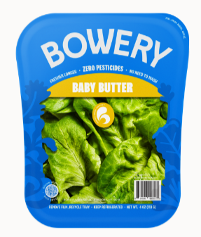 Bowery Baby Butter Lettuce (6/4oz)