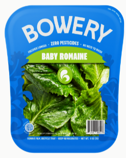 Bowery Baby Romaine (6/4oz)