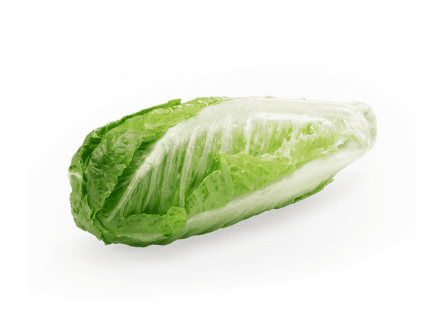 Romaine Hearts Lettuce (12/3lb)