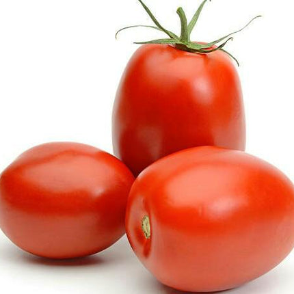 Plum Tomato (25Lb)