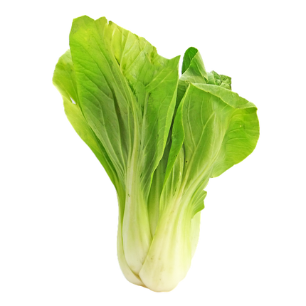 Bok Choy Cabbage (30lb)