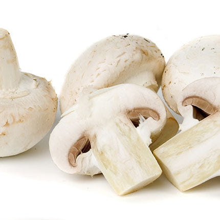 White Mushroom (12/8oz)