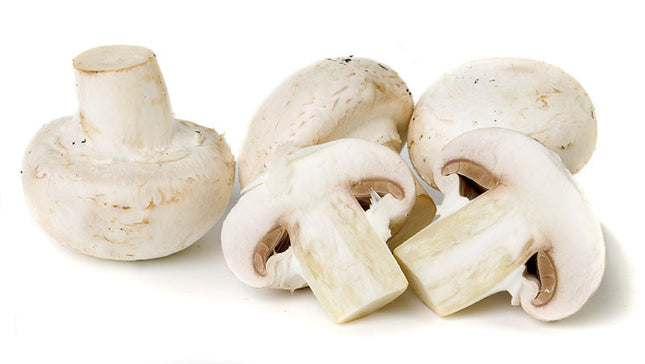 White Mushroom (12/8oz)