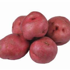 Collection image for: Fruits and Vegetables