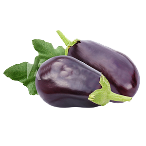 Eggplant from PR (30lb)