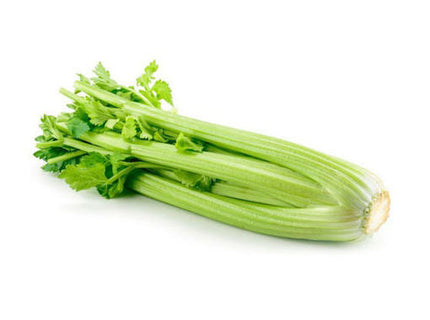 Celery Sleeve (30ea)