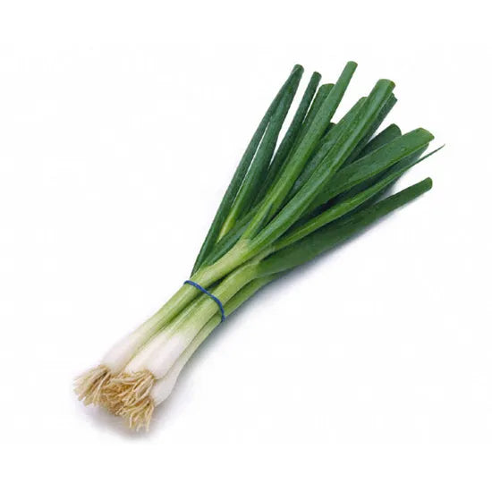 Green Onion (48ea)