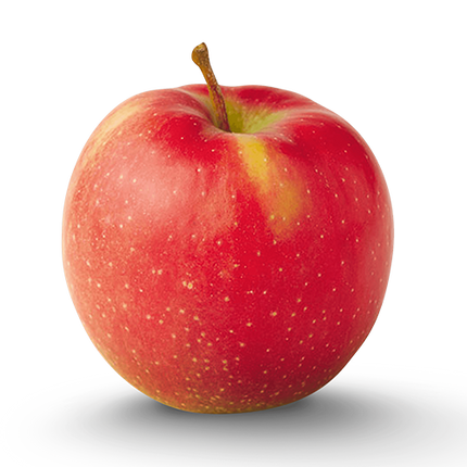 Jonagold Apple 56-80ct (40lb)