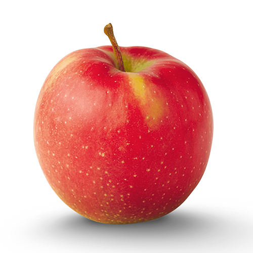 Jonagold Apple 56-80ct (40lb)