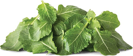 Lily's Organic Baby Kale (8/5oz)