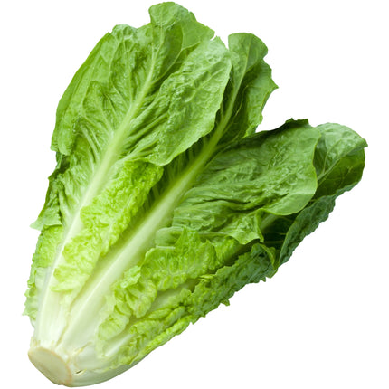 Cello Romaine Lettuce (18ea)