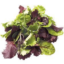 Lily's Organic Spring Mix (8/5oz)