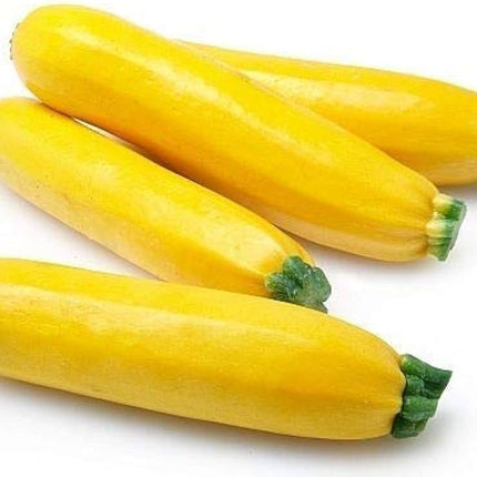 Yellow Squash (18lb)