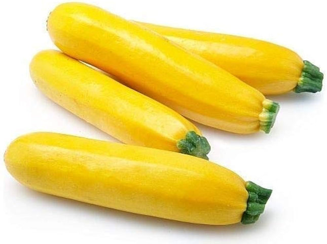 Yellow Squash (18lb)